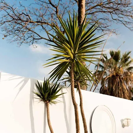 Moderno Lujo Y Relax En La Playa Holiday home Chiclana de la Frontera